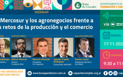 El Mercosur y los agronegocios frente a los retos de la producción y el comercio